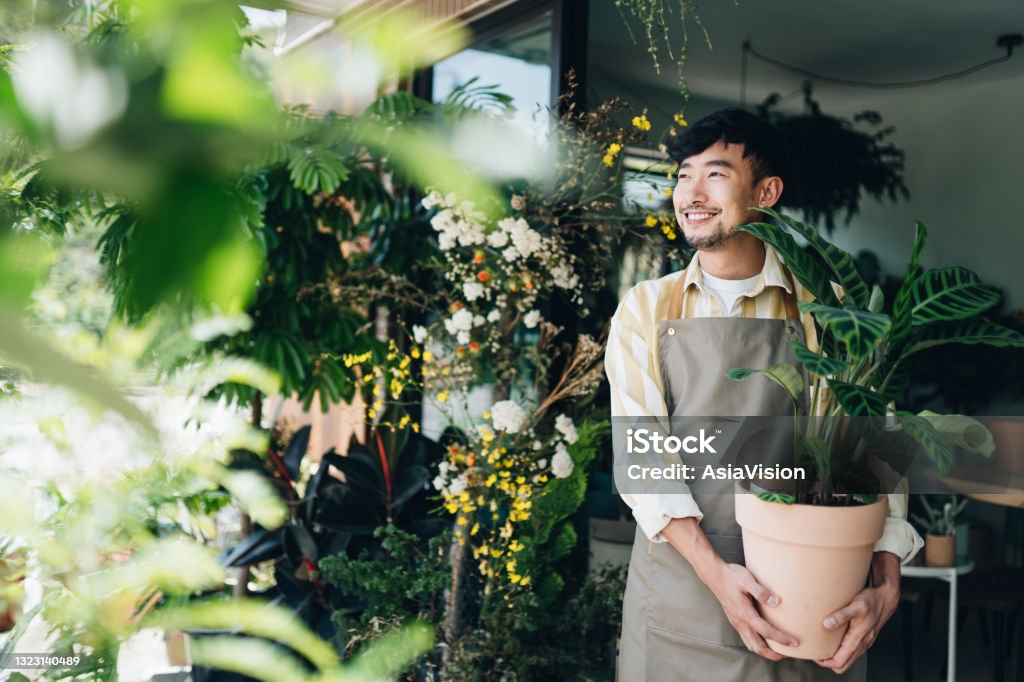 Berkebun dari Rumah