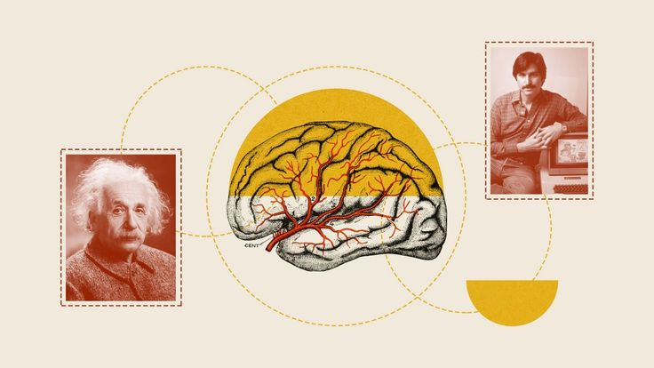 Belajar Berpikir Kritis