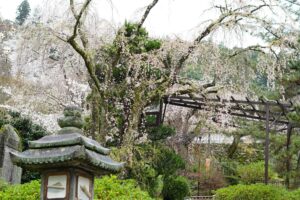 Ilustrasi SejutaCita Future Leaders