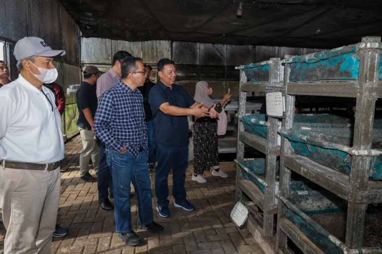 Mendiktisaintek Melakukan Kunjungan ke PT Maggot Meninjau Perannya pada Budidaya Sampah