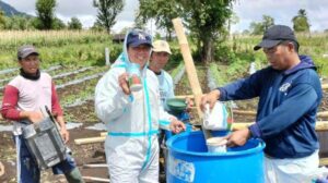 inovasi pupuk ramah lingkungan