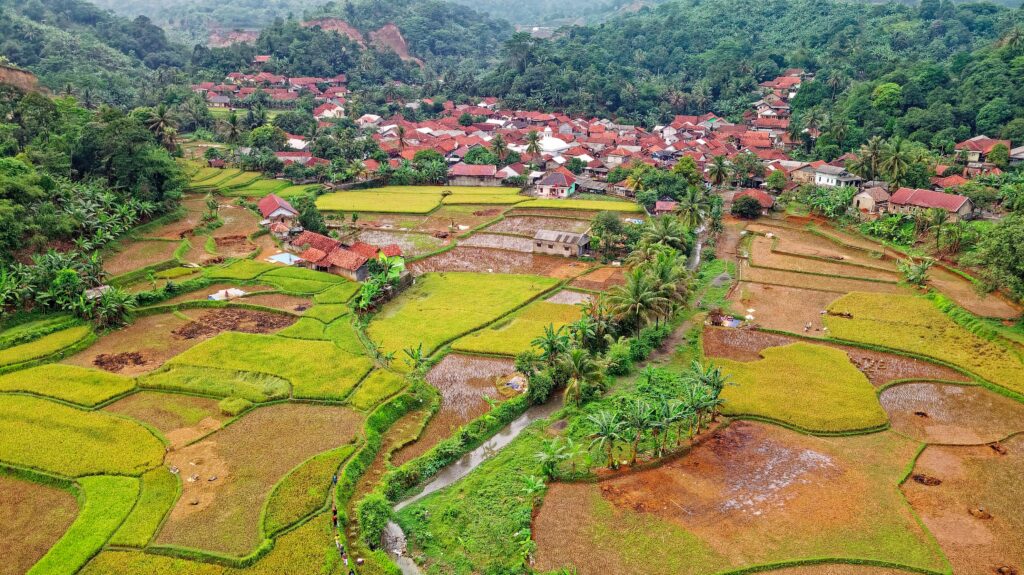 Aerial view of Rumpin's lush rice terraces and traditional village in Indonesia.