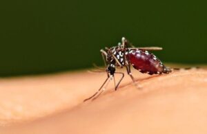 Alat deteksi Malaria