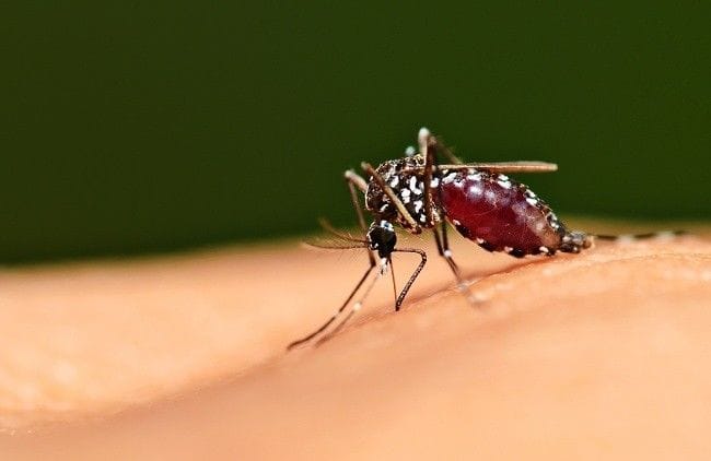 Alat deteksi Malaria