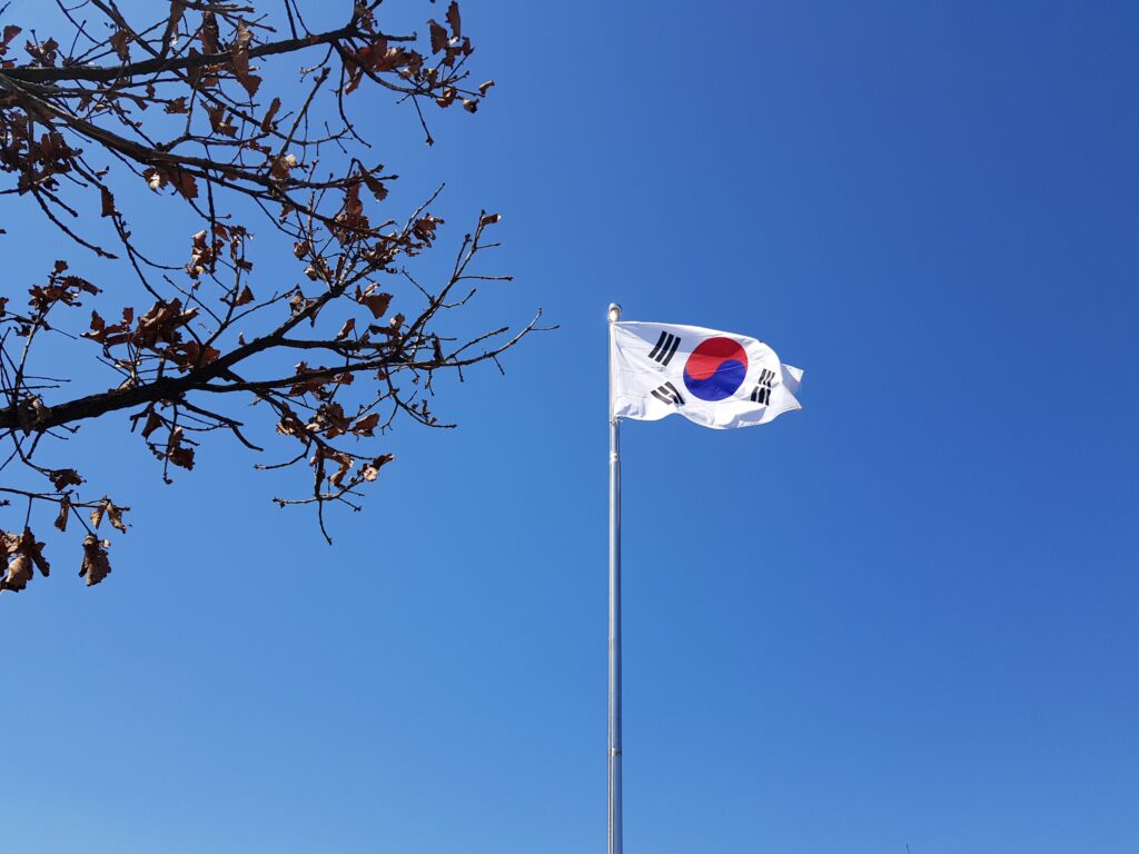 South Korean flag on a flagpole against a vibrant blue sky with tree branches.
