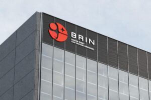 BRIN
