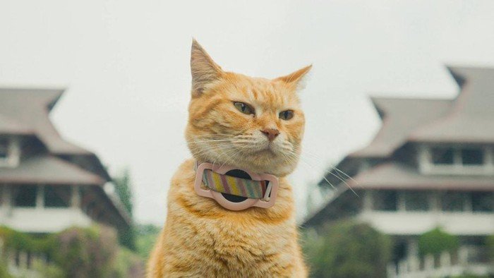 Film karya ITB